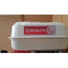 Gasoline Engine Ecolite PRO160  4