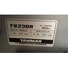 Deisel Genset 10000 watt Yanmmar 4