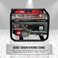 Genset Gas Starke Model GFH2900