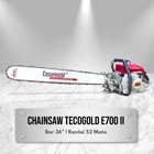 Oregon Tecogold E700-II Chainsaw bar 36