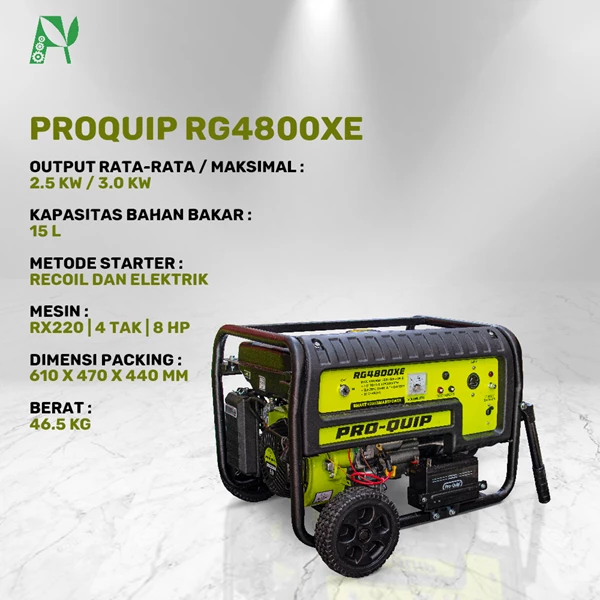 ProQuip RG4800XE 3000 Watt Gasoline Generator Starter Electric and Manual