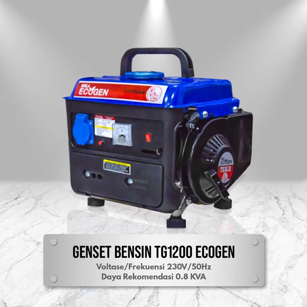 Gasoline Generator Ecogen TG1200 650 Watt