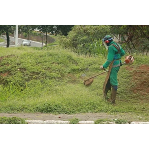 5 Fitur Penting yang Harus Diperhatikan Sebelum Membeli Mesin Potong Rumput